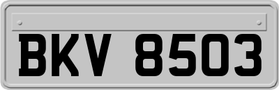 BKV8503