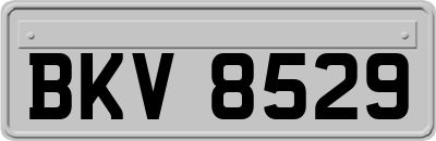 BKV8529
