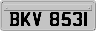 BKV8531