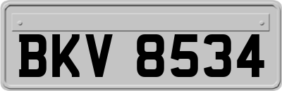 BKV8534