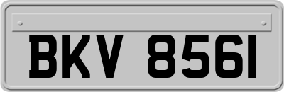 BKV8561