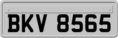 BKV8565