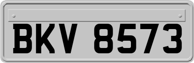 BKV8573