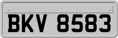 BKV8583