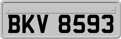 BKV8593