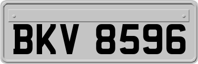 BKV8596