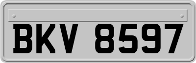BKV8597