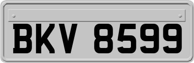 BKV8599