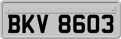 BKV8603