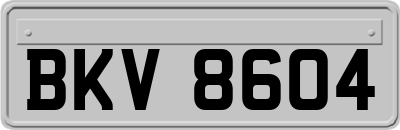 BKV8604