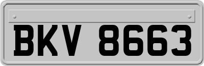 BKV8663