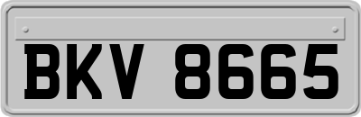 BKV8665