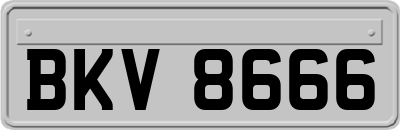 BKV8666