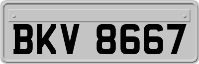 BKV8667