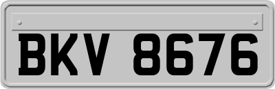 BKV8676
