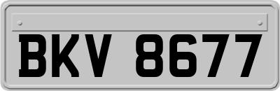 BKV8677