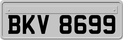 BKV8699