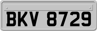 BKV8729