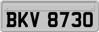 BKV8730