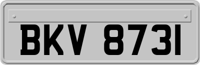 BKV8731