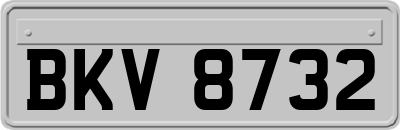 BKV8732