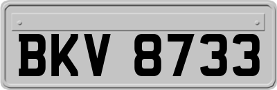 BKV8733