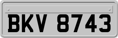 BKV8743