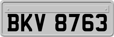 BKV8763
