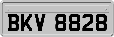BKV8828