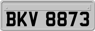 BKV8873