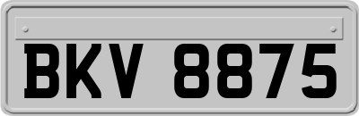 BKV8875