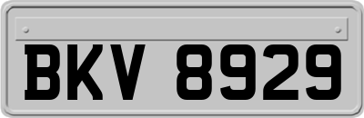 BKV8929