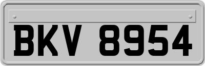 BKV8954