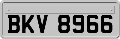 BKV8966