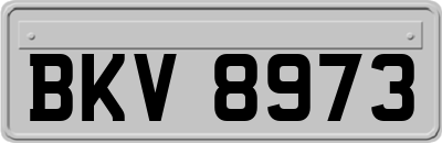 BKV8973