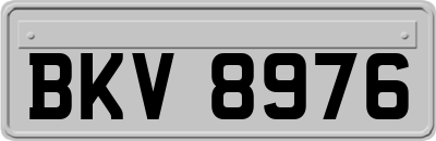BKV8976