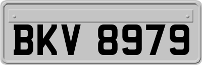 BKV8979