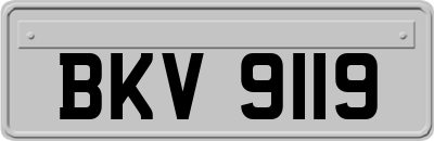 BKV9119