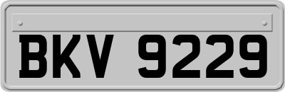 BKV9229