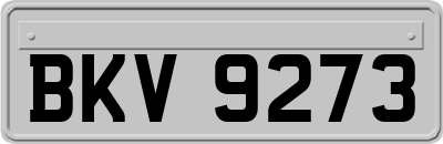 BKV9273