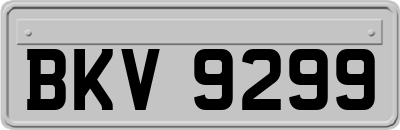 BKV9299