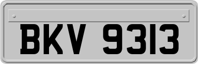 BKV9313