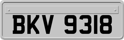 BKV9318