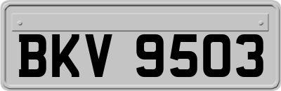 BKV9503