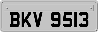 BKV9513
