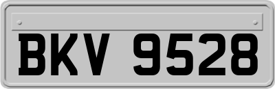 BKV9528