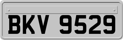 BKV9529