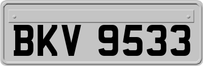 BKV9533