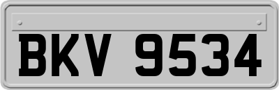 BKV9534