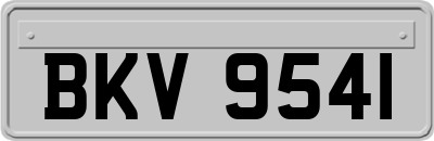 BKV9541